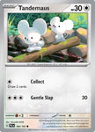 Pokemon TCG - PALDEA EVOLVED - 166/193 - TANDEMAUS - Reverse Holo - Common