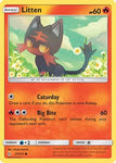 Pokemon TCG - UNBROKEN BONDS - 027/214 - LITTEN - Common